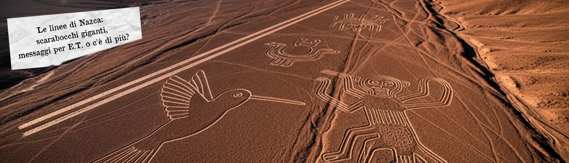 Le linee di Nazca larga
